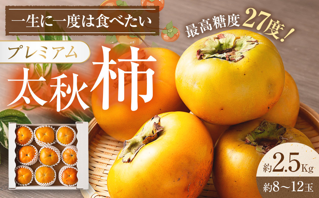 
            熊本県産 プレミアム 太秋柿 約2.5kg  【2025年10月上旬発送開始】 フルーツ くだもの 果物 柿 かき カキ たしゅうかき
          
