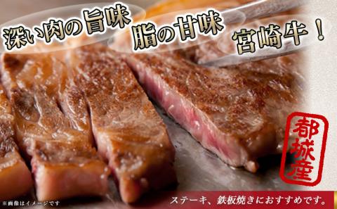 宮崎牛サーロイン鉄板焼き用150g×2枚_MJ-2507