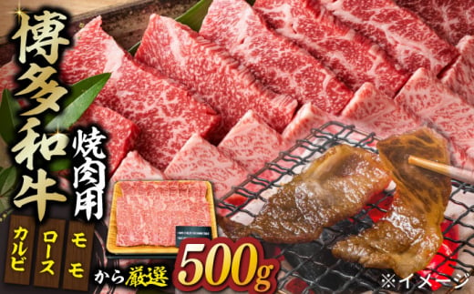 
【和牛の旨味を堪能！】博多和牛 焼肉用 500g《築上町》【株式会社MEAT PLUS】 牛肉 BBQ [ABBP012] 17000円
