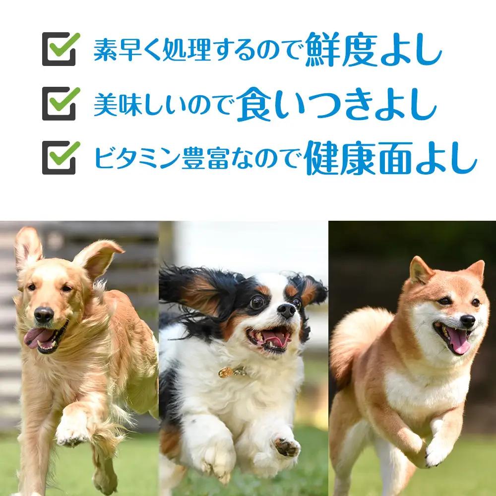 犬 おやつ 無添加 国産 エゾ鹿肉 ジャーキー (150g)