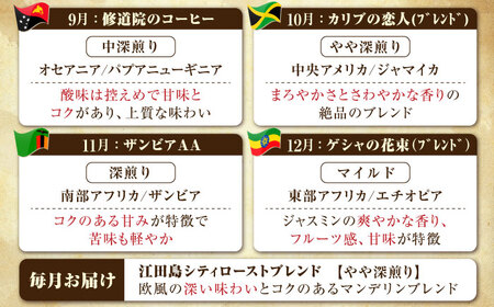 【全12回】能美島ビターブレンドセット コーヒー豆or粉 全13種 コーヒー[XBE085]