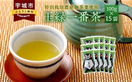 緑茶 お茶 茶葉 100g 15袋セット くまモン 玉緑一番茶 100g 15袋セット 緑茶 日本茶 一番茶