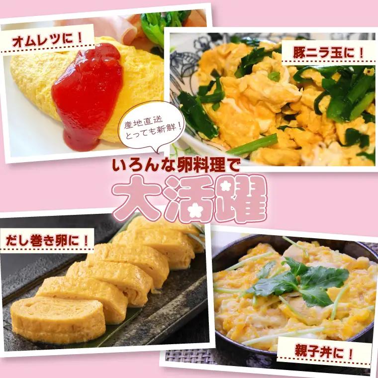 【ふるなびWEEK対象】【卵】純国産鶏「さくら」純たまご 30個入り (AJ027)