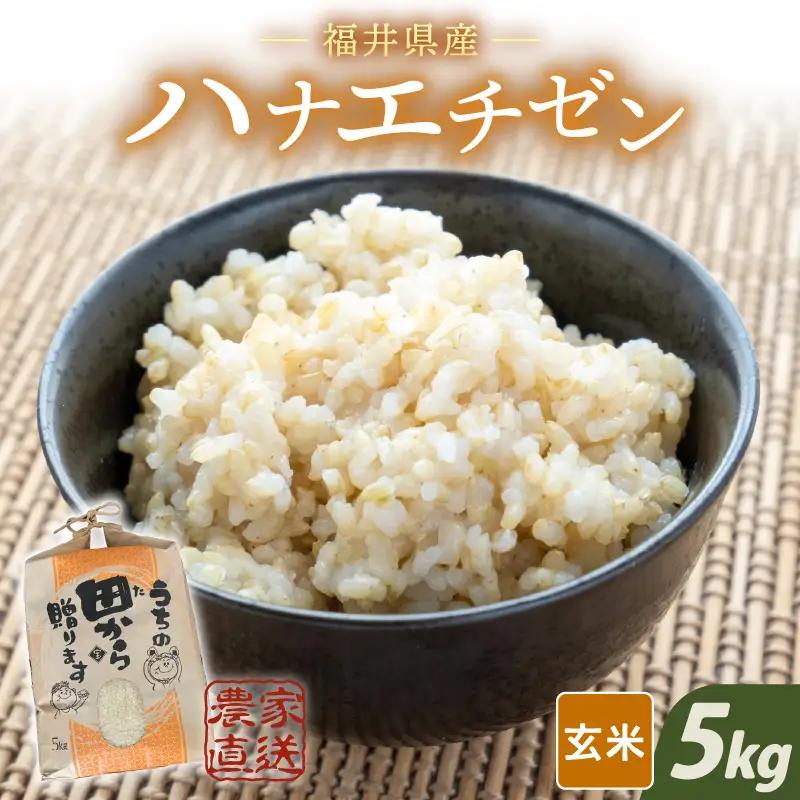【令和8年産・新米】 ハナエチゼン5kg × 1袋 ～本原農園からまごころコメて～（玄米）[A-8994_02]