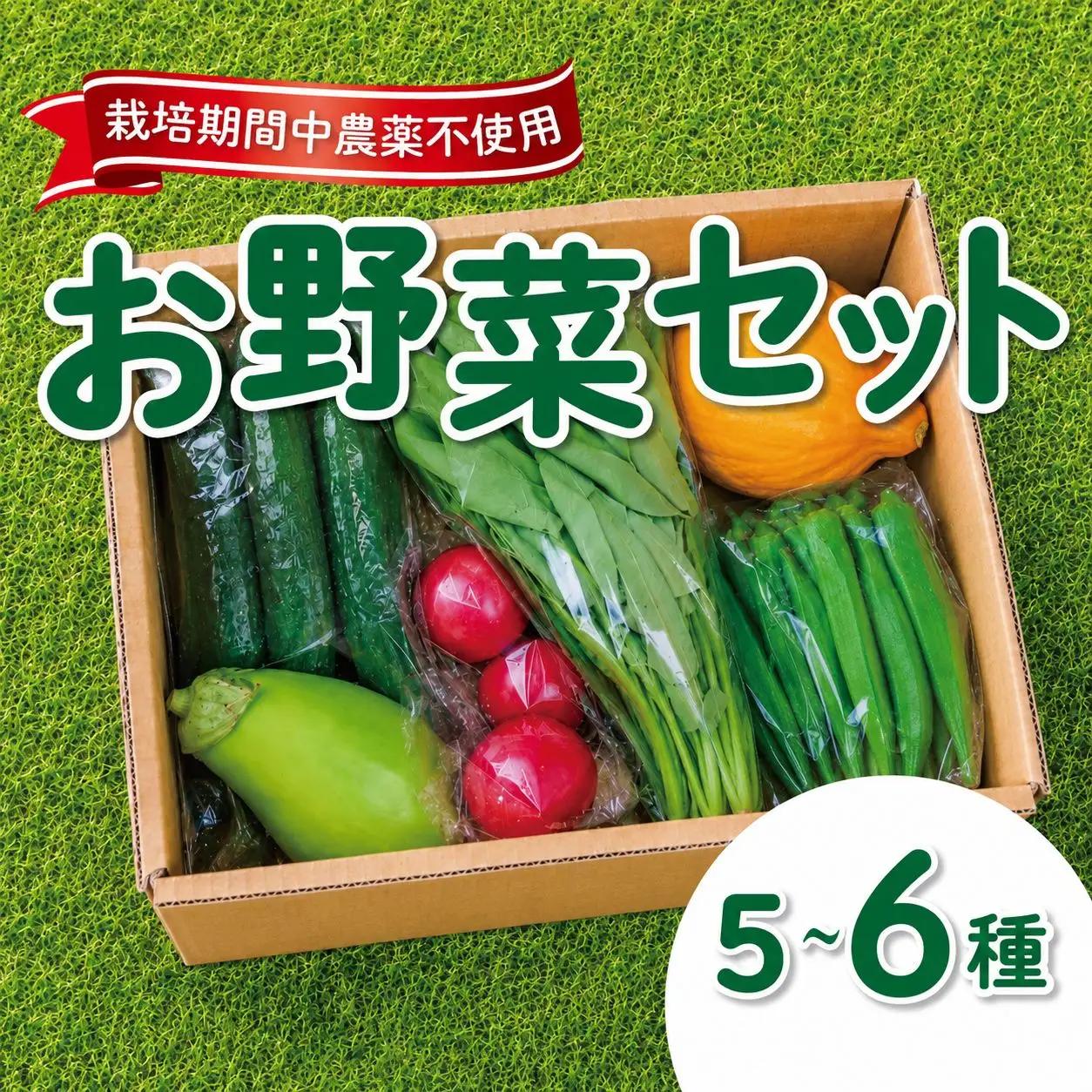 【野菜セット】 旬のお野菜 5～6品目 野菜
