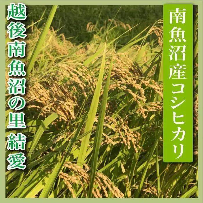 【令和7年】【定期便 精米20Kg×全6回】越後南魚沼の里 結愛 南魚沼産コシヒカリ｜こしひかり