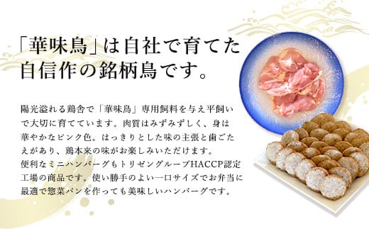 提供する為の基本である「健康な鶏」を育てています。
陽光降り注ぐ鶏舎で大切に育てられ肉の臭みが少なく旨味が引き出されています。