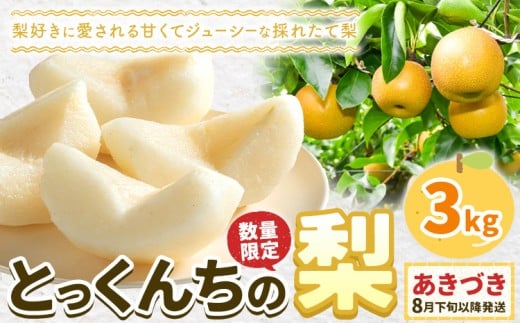 【2026年先行予約】とっくんちの梨 あきづき 約3kg 鈴木農園《8月下旬-9月中旬頃出荷》茨城県 結城市 数量限定 果物 フルーツ 甘み ジューシー 豊か 芳香 しゃりっ 爽やかな 季節【配送不可地域あり】(離島)