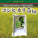 【ふるさと納税】【令和6年産新米】コシヒカリ　5kg【新米　有機栽培　安心　美味しい　おにぎり　10000円以下】(BD002)