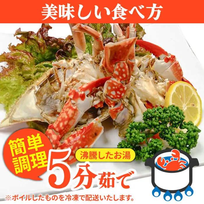 【2027年7月-発送】【訳あり】数量限定 有明海のワタリガニ 約1.2kg（4～5匹） / かに ボイル カニ爪 渡り蟹 / 南島原市 / 長栄丸水産[SFM001] [SFM001] ワタリガニ