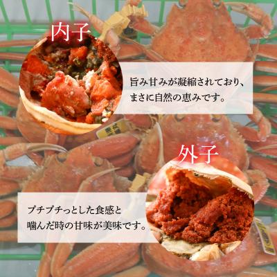 ふるさと納税 小浜市 【加福鮮魚】「若狭小浜港産地直送」　セイコガニ(コッペガニ)ボイル5杯 |  | 02