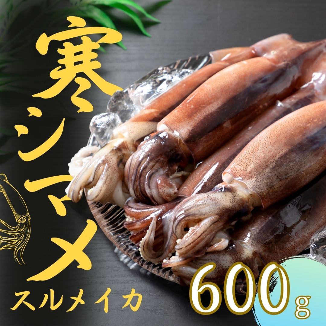 【ふるさと納税】朝どれシマメ（スルメイカ）約600g 3～4杯 いか イカ スルメイカ 朝どれシマメ