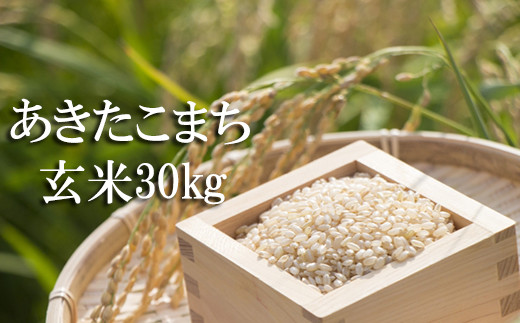
            【令和7年産】 新米 10月中旬発送開始予定 あきたこまち 玄米 30kg （10kg×3袋） ／ かきのうえ こめ 米 コメ お米 おこめ ご飯 ごはん げんまい おにぎり お弁当 仕送り お取り寄せ 産地直送 単一原料米 国産 国産米 東北 岩手県産 八幡平市産 おすすめ
          