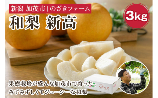 【2026年先行予約】新潟県加茂市産 和梨 新高3kg（4～8玉）〈10月上旬～順次出荷〉 なし ナシ にいたか 果物 フルーツ 秋の味覚 加茂市 のざきファーム