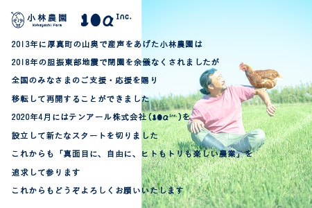 【1018】1年間定期便！こだわりの無投薬･平飼い有精卵＜毎月２５個×１年間＞