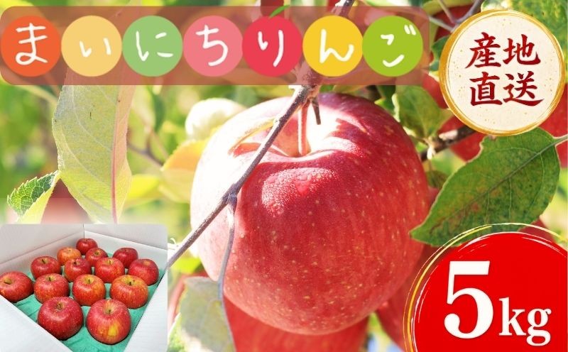 
                  【12月上旬~発送】 りんご 5kg 家庭用 サンふじ 先行予約 訳あり 家庭用 りんご 果物 くだもの フルーツ 林檎 リンゴ サンふじ サンフジ 産地直送 新鮮 旬 国産 冬 訳アリ りんご おすすめ わけあり 岩手県 盛岡市 東北 岩手 盛岡 ふじむら農園 fujimura005
                