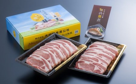 E-29 中川さんちの米の恵み豚ローストンカツ（150ｇ×12枚）【豊後高田市限定】