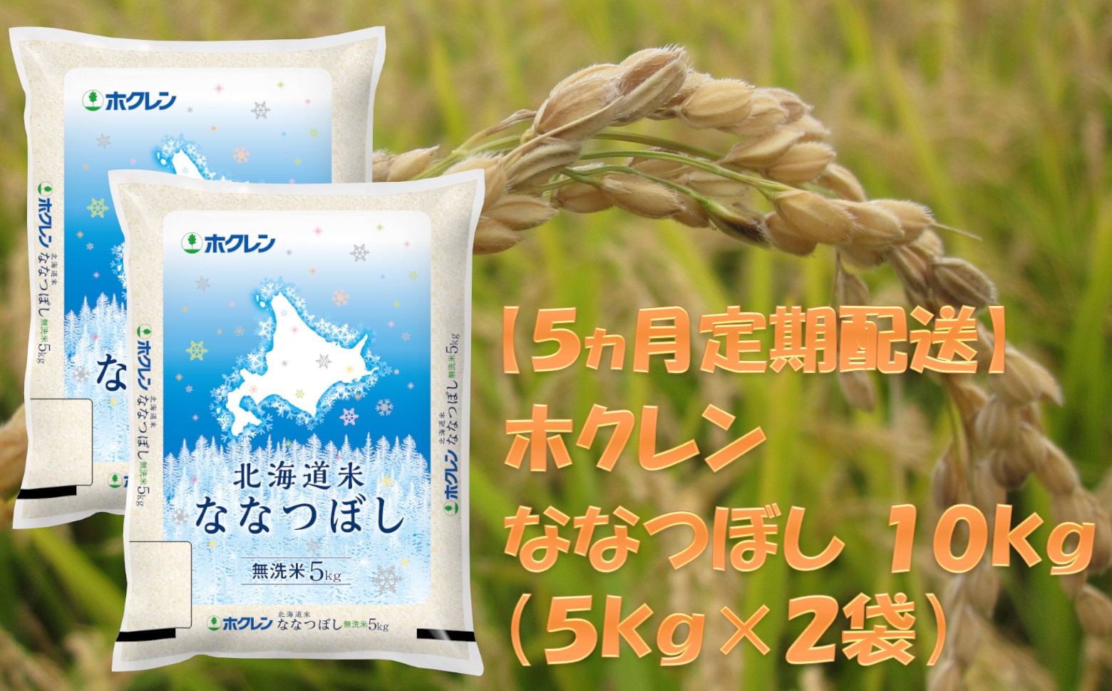 
            （無洗米１０ｋｇ）ホクレンななつぼし【５ヶ月定期配送】
          