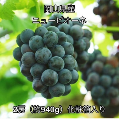 【2026年発送】岡山県産 ニュー ピオーネ 2房 (約940g)化粧箱入り【配送不可地域：離島】【1710839】