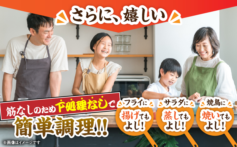 若鶏 筋なし ささみ 計2.5kg 鶏肉 国産 チキン ササミ 人気 小分け 便利 おかず お弁当 食品 真空パック ヘルシー 高タンパク 低カロリー 焼肉 唐揚げ サラダ グルメ お取り寄せ おすす