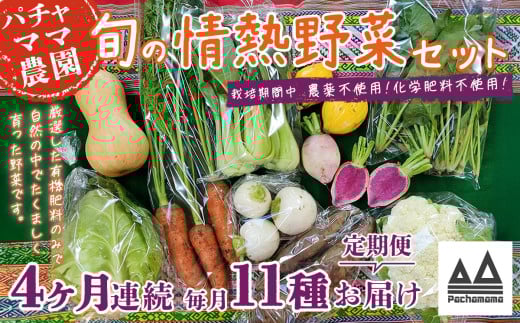 【 4ヶ月連続お届け 】 農園自慢の情熱野菜セット （ 11品 ）【 野菜 詰め合わせ お任せ 季節物 定期便 セット 山芋 パセリ わさび菜 ポップコーン かぶ 人参 里芋 たまねぎ 玉ねぎ ルッコラ ほうれん草 春菊 大根 芽キャベツ レタス じゃがいも さつまいも とうもろこし そら豆 枝豆 パクチー ビーツ ほうれん草 キャベツ ピーマン なすトマト かぼちゃ 】