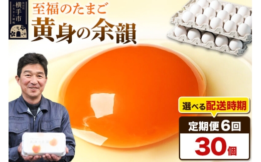 【常温発送】《定期便6ヶ月》黄身の余韻 30個（業務用）【発送時期が選べる】6か月 6ヵ月 6カ月 6ケ月 卵 玉子 たまご 開始時期選べる [東海林養鶏場 至福のたまご 黄身の余韻 卵 玉子 タマゴ]