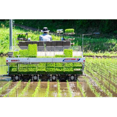 ふるさと納税 那須町 那須産 コシヒカリ5kg ≪白米≫〔B-90〕 |  | 03