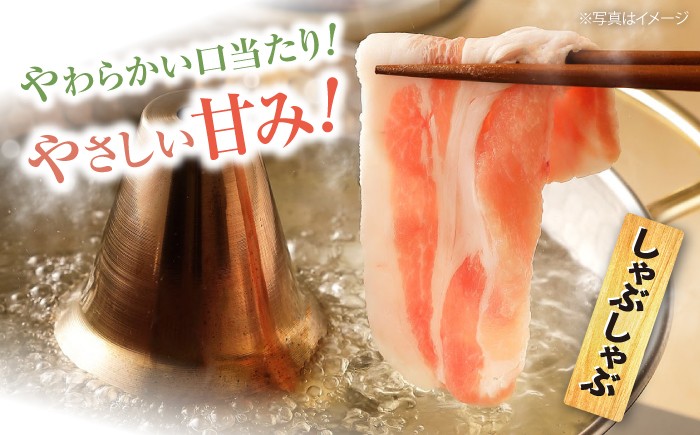 国産 SPF豚 焼肉 しゃぶしゃぶ スライス