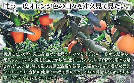 【期間限定】幸福蜜柑ジャムセット 温州みかん ジャム3個・セミノール ジャム2個入り オレンジ ミカン マーマレード ジャム ギフト 詰め合わせ 大分県産 九州産 津久見市