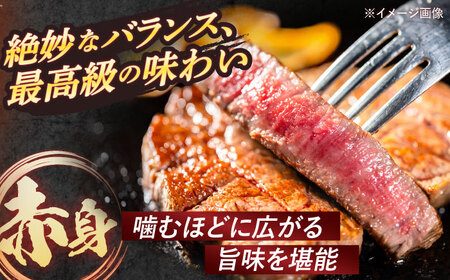【全6回定期便】 長崎和牛 A5ランク 特選サーロインステーキ 250g×4枚 計1kg / ステーキ すてーき 和牛 牛肉 ぎゅうにく 国産牛 牛 サーロイン A5 / 諫早市 / 焼き肉おがわ [