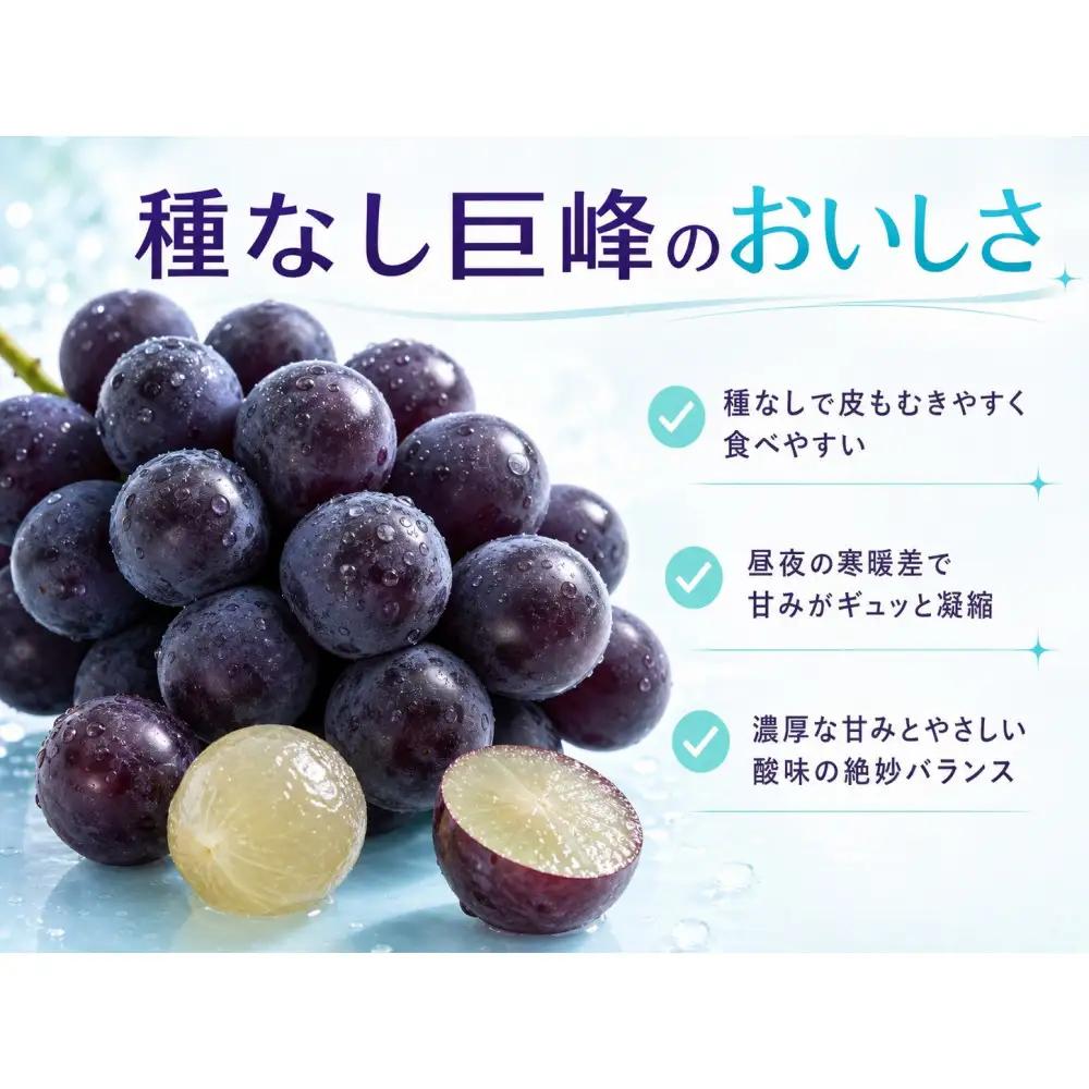 紀州有田産の種なし巨峰ぶどう約２kg【先行予約】【2026年8月中旬以降発送予定】  巨峰