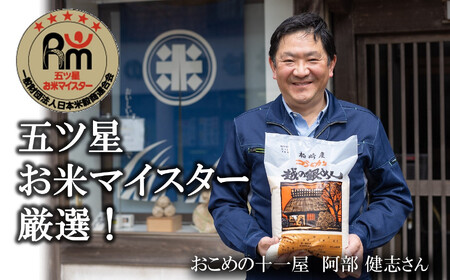 令和7年産米【五ツ星お米マイスター厳選・3ヶ月定期便】新之助 無洗米 5kg×3回（計 15kg）[Y0590]