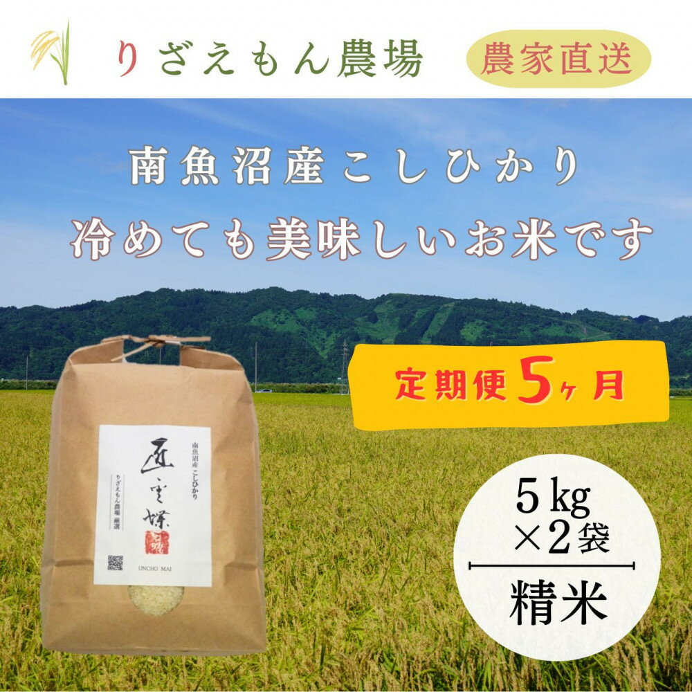 【ふるさと納税】《新米予約受付》【定期便5回×10kg《合計50kg》】令和7年産　南魚沼産コシヒカリ　白米 10kg　　＼生産農家直送／【2025年10月上旬より順次発送予定】 | お米 こめ 白米 コシヒカリ こしひかり 食品 人気 おすすめ 送料無料 魚沼 南魚沼