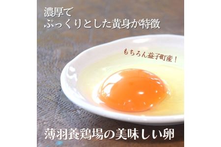 AA034＜6か月定期便＞旬の採れたてぜいたく野菜セット（卵付き）2人用