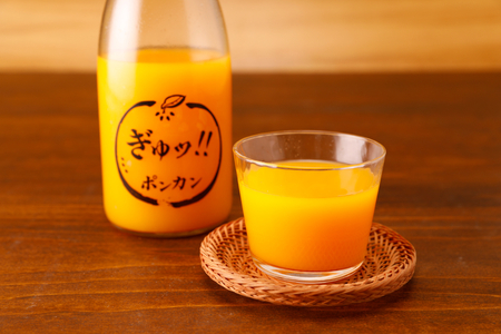 いのうえ農園 ジュース2種セット（ポンカン/不知火）※離島への配送不可 IKTAI020