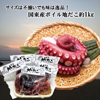 ふるさと納税 国東市 サイズは不揃いでも味は逸品!国東産ボイルたこ足約1kg_2561R