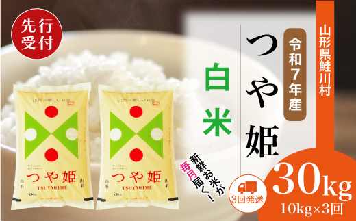 ＜令和7年産米先行受付＞ 山形県産 特別栽培米 つや姫 【白米】30kg定期便 (10kg×3回)　配送時期指定できます！