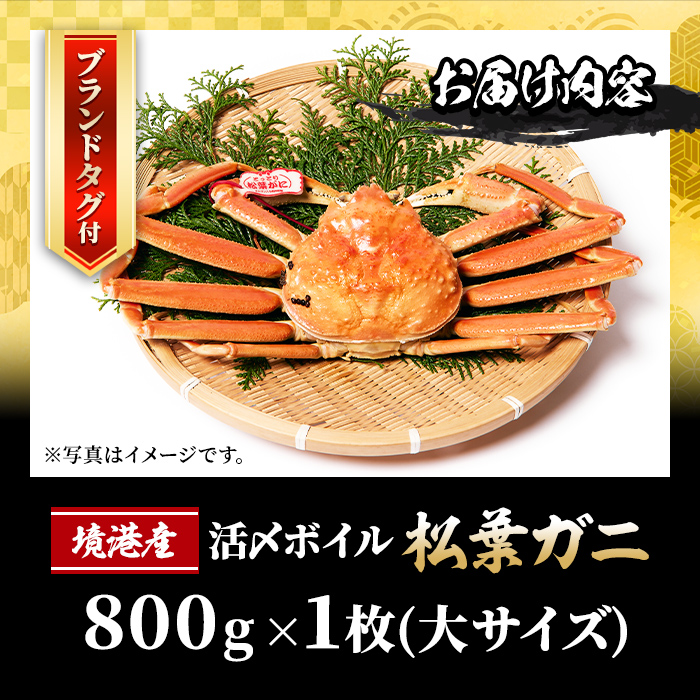 ＜先行予約受付中！11月中旬～2月下旬発送予定＞活〆ボイル松葉蟹(大/800g～・平日着※指定日不可)【sm-AL012-A】【マルツ】
