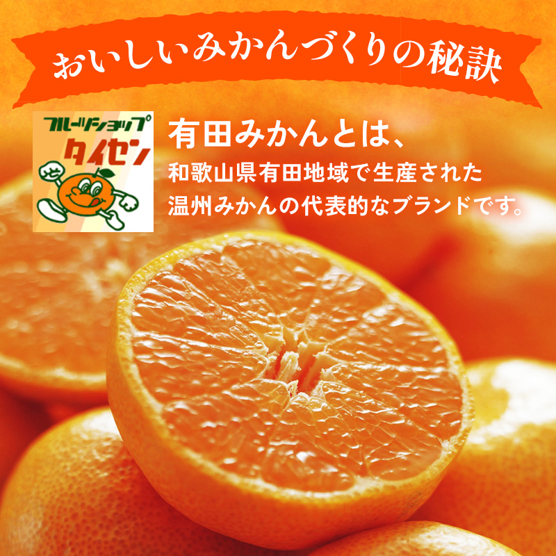 【ご家庭用】和歌山有田みかん約10kg(2L、3Lサイズ)〇 ※2025年11月上旬～2026年1月下旬頃に順次発送予定