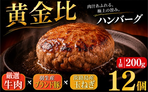 大判ハンバーグ ハンバーグ 牛肉 豚肉 あいびき 2.4kg 小分け 個包装 大判ハンバーグ 惣菜 冷凍 合挽きハンバーグ 保存料不使用 国産 はんばーぐ hannba-gu ハンバーグ ランキング 人気ハンバーグ 肉 弁当 冷凍食品 簡単調理 国産ハンバーグ ふるさと納税ハンバーグ ハンバーグ食べ比べ にく 冷凍 はんばーぐ 冷凍はんばーぐ おかず 簡単 惣菜 お惣菜 hannba-gu