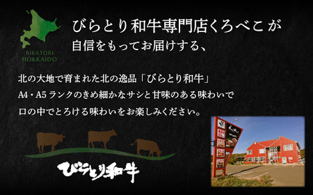 【ジャパン・フード・セレクショングランプリ受賞】びらとり和牛ハンバーグ180ｇ6枚　オリジナルソース付 BRTB027