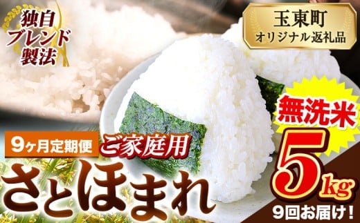 【9ヶ月定期便】熊本県産 さとほまれ 無洗米 ご家庭用 定期便 5kg 《お申込み翌月から出荷》熊本県 玉名郡 玉東町 米 こめ コメ ブレンド米 送料無料