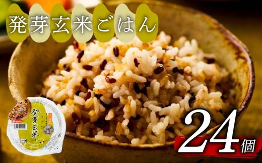 発芽玄米 ごはんパック 160g 24個 発芽 玄米 米 ごはん ご飯 こめ パックライス パックご飯 パックごはん ご飯パック パック ライス 備蓄 保存 非常 防災 電子 レンジ 温めるだけ レンチン 簡単 調理 健康 ダイエット 美容 ヘルシー レトルト インスタント おいしい 人気 おすすめ 国産 うるち玄米 もち玄米 赤米 黒米 緑米 24 24食 おくさま印 大阪 松原