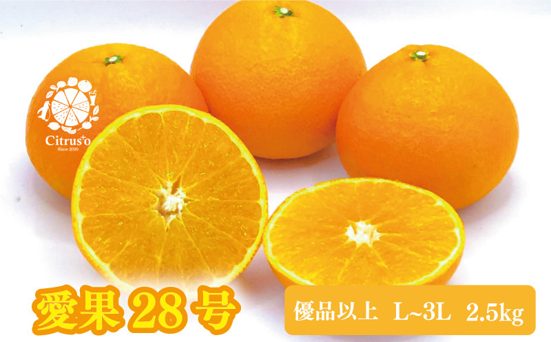 
            【2025年12月上旬から発送】愛果28号 優品以上 L～3L玉 2.5kg あいか | 愛媛 みかん 先行予約 紅まどんな 紅マドンナ と同品種 蜜柑 柑橘 果物 くだもの フルーツ お取り寄せ グルメ 期間限定 数量限定 人気 おすすめ 愛媛県 松山市
          