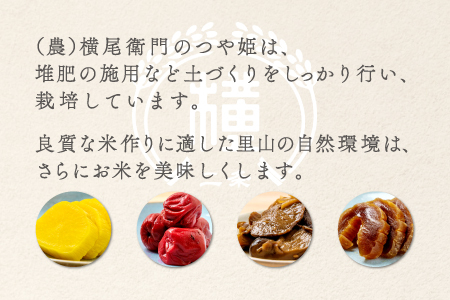 D-1114 【定期便】横尾衛門のつや姫 白米 10kg×6回コース