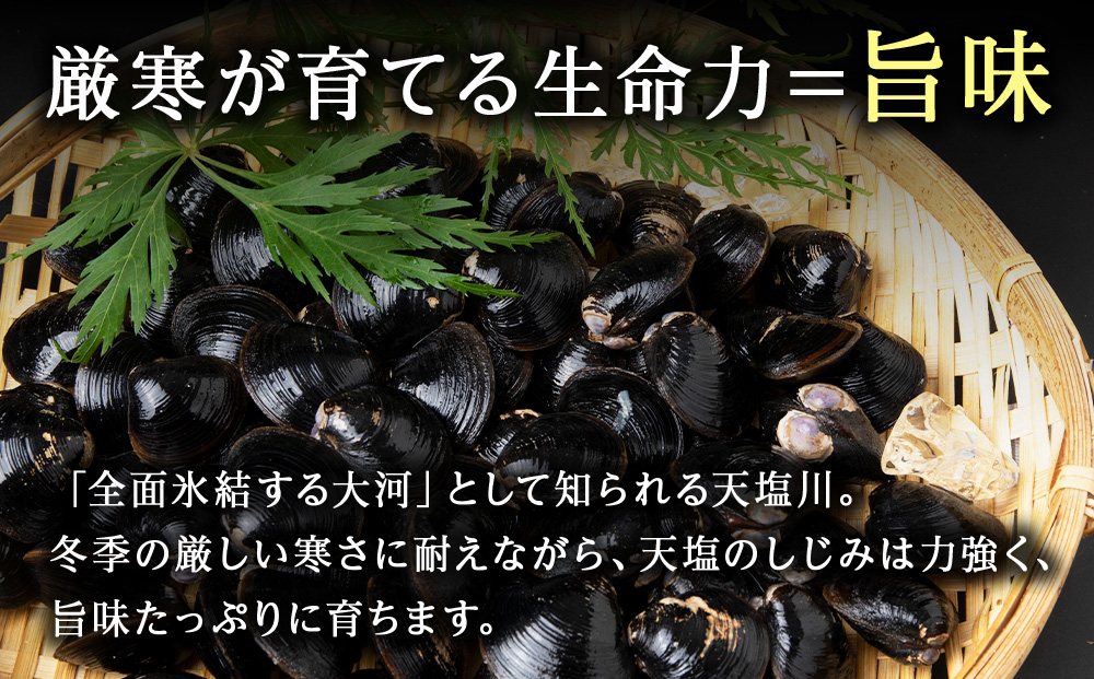 復活！天塩町名産冷凍しじみ「特大貝桐箱入り」１ｋｇ＜北るもい漁業協同組合　天塩支所＞