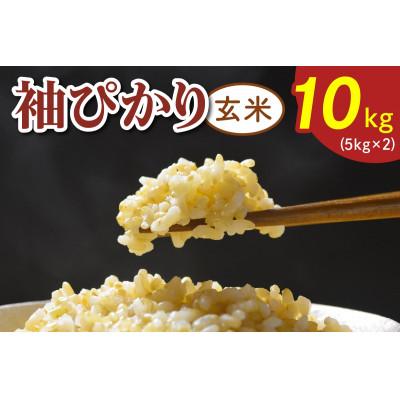 ふるさと納税 袖ケ浦市 令和7年産 袖ぴかり(コシヒカリ)玄米 10kg(5kg×2)