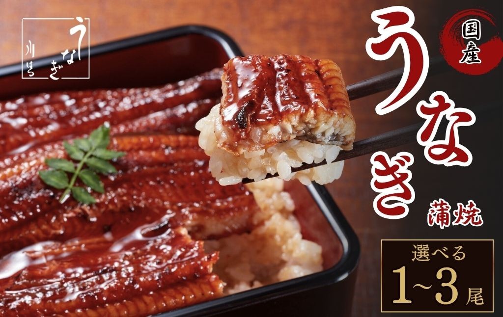 
                  国産 うなぎの蒲焼 【1～3尾】 選択可 たれ付き 鰻 うなぎ 丑の日 魚 魚介 海鮮 肉厚 ジューシー かば焼き 蒲焼き うな重 ひつまぶし うな丼 どんぶり ごはん お米 年末年始 お取り寄せ ギフト プレゼント 贈り物 ご褒美 うなぎ川はら 奈良県 奈良市 なら 
                