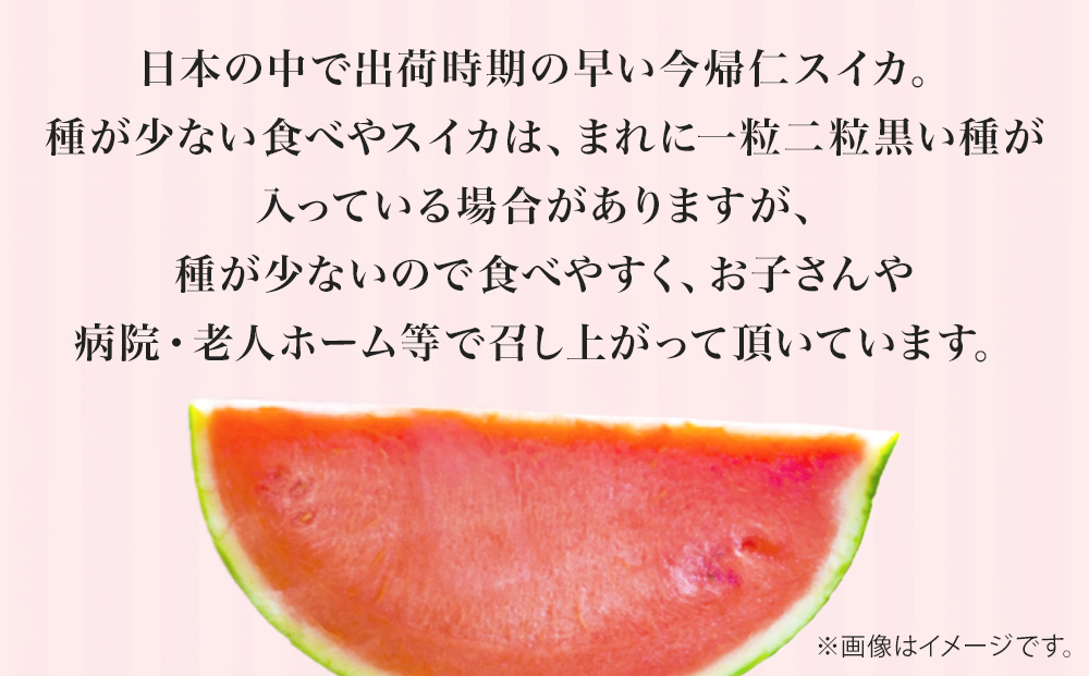  【（有）今帰仁すいか】種が少ない食べやスイカ【2025年3月下旬～5月頃発送】