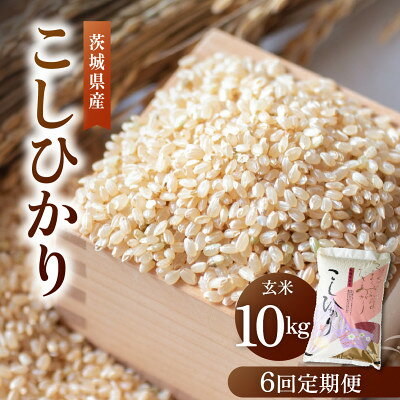 【ふるさと納税】【毎月定期便】こだわりのコシヒカリ 玄米 10kg | 茨城県かすみがうら市全6回【4095074】